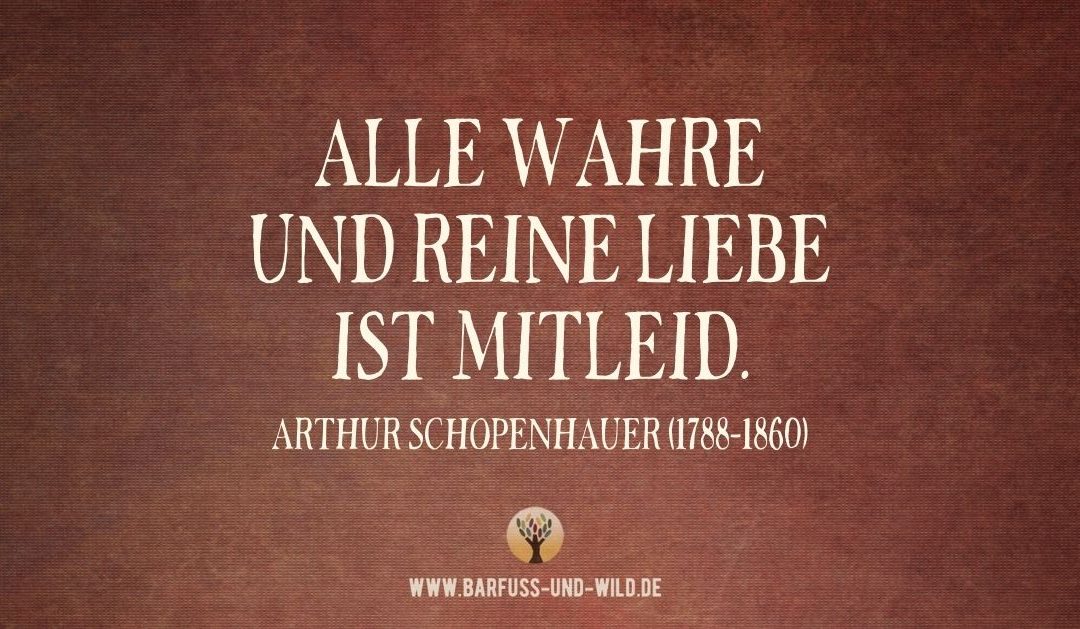 Warum es wichtig sein kann, Mitleid und Mitgefühl zu unterscheiden … [PODCAST #42]