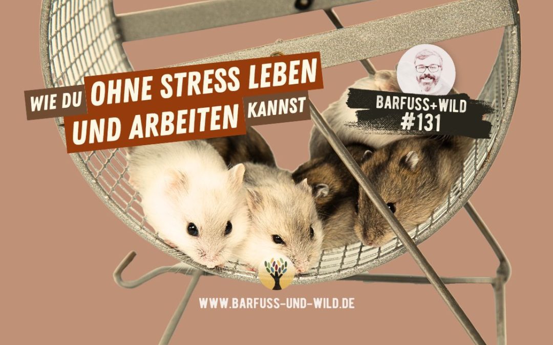 Ausstieg aus dem Hamsterrad (wie Du ohne Stress leben und arbeiten kannst) … [PODCAST #131]