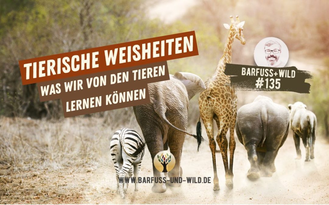 Tierische Weisheiten: Was wir von den Tieren lernen können … [PODCAST #135]