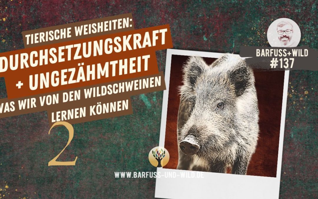 Tierische Weisheiten 2: Durchsetzungskraft und Ungezähmtheit [PODCAST #137]