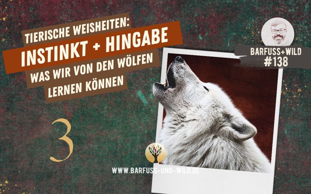 Tierische Weisheiten 3: Instinkt und Hingabe [PODCAST #138]