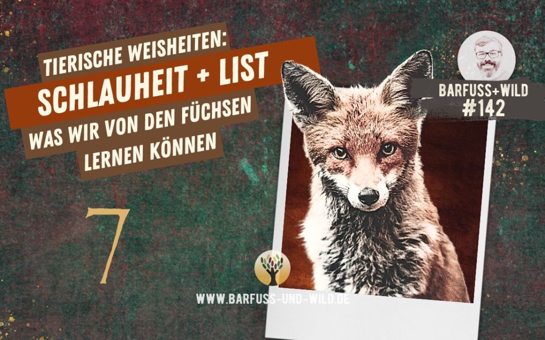 Tierische Weisheiten 7: Schlauheit und List [PODCAST #142]