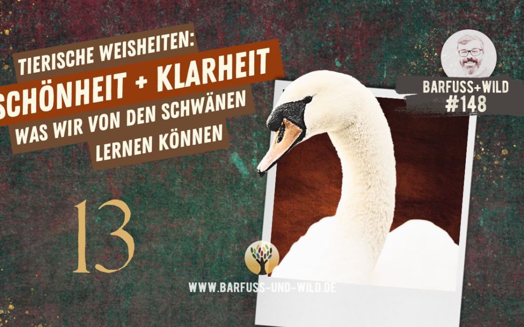 Tierische Weisheiten 13: Schönheit und Klarheit [PODCAST #148]