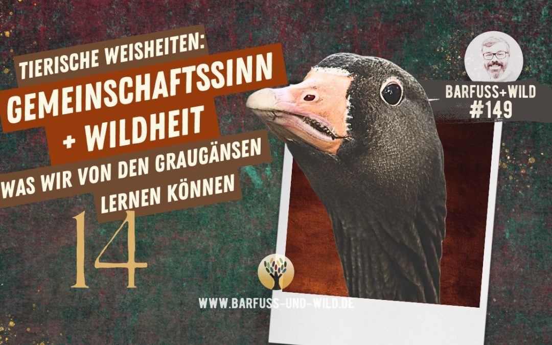 Tierische Weisheiten 14: Gemeinschaftssinn und Wildheit [PODCAST #149]