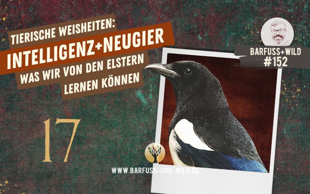 Tierische Weisheiten 17: Intelligenz und Neugier [PODCAST #152]