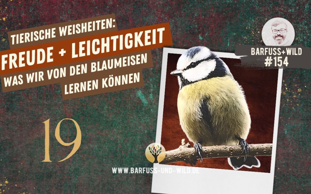 Tierische Weisheiten 19: Freude und Leichtigkeit [PODCAST #154]