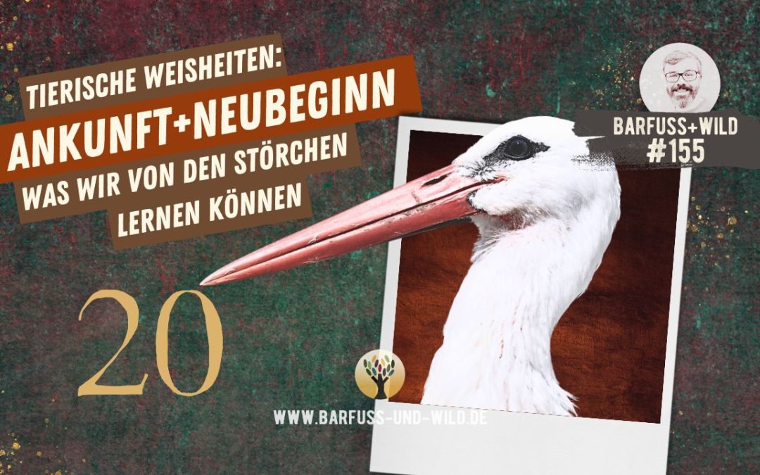 Tierische Weisheiten 20: Ankunft und Neubeginn [PODCAST #155]