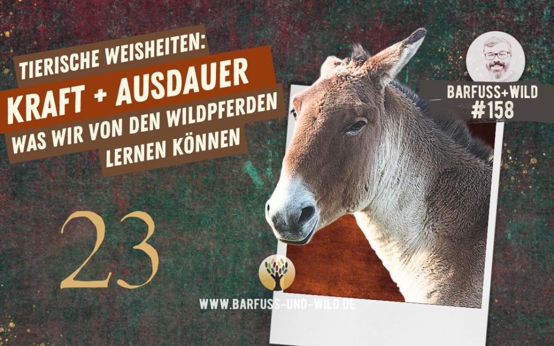 Tierische Weisheiten 23: Kraft und Ausdauer [PODCAST #158]