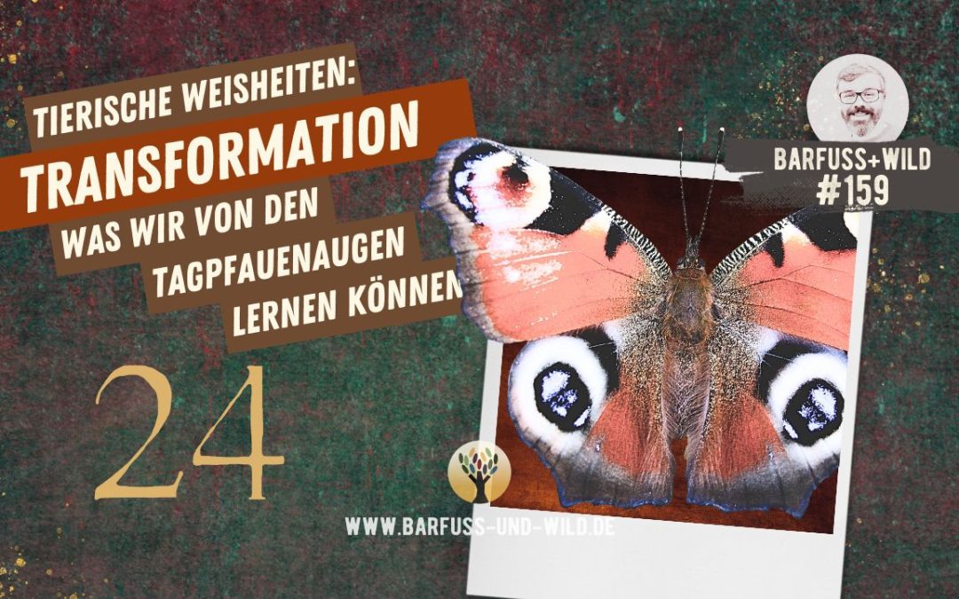 Tierische Weisheiten 24: Transformation [PODCAST #159]